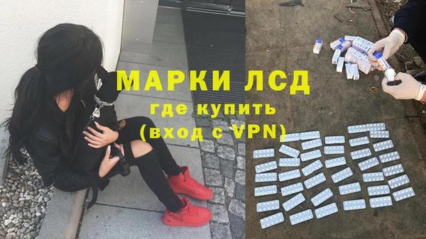 стафф Алексеевка