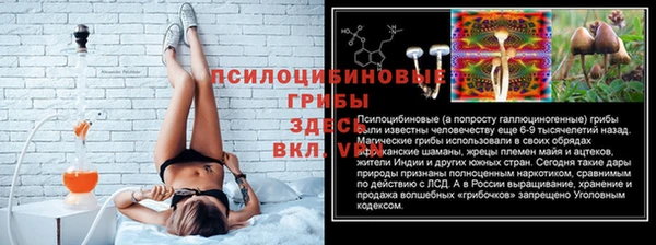 стафф Алексеевка